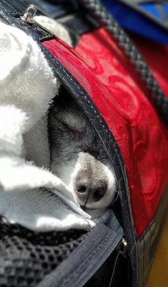 Meet your Posher, Me - Picture 3 of 8